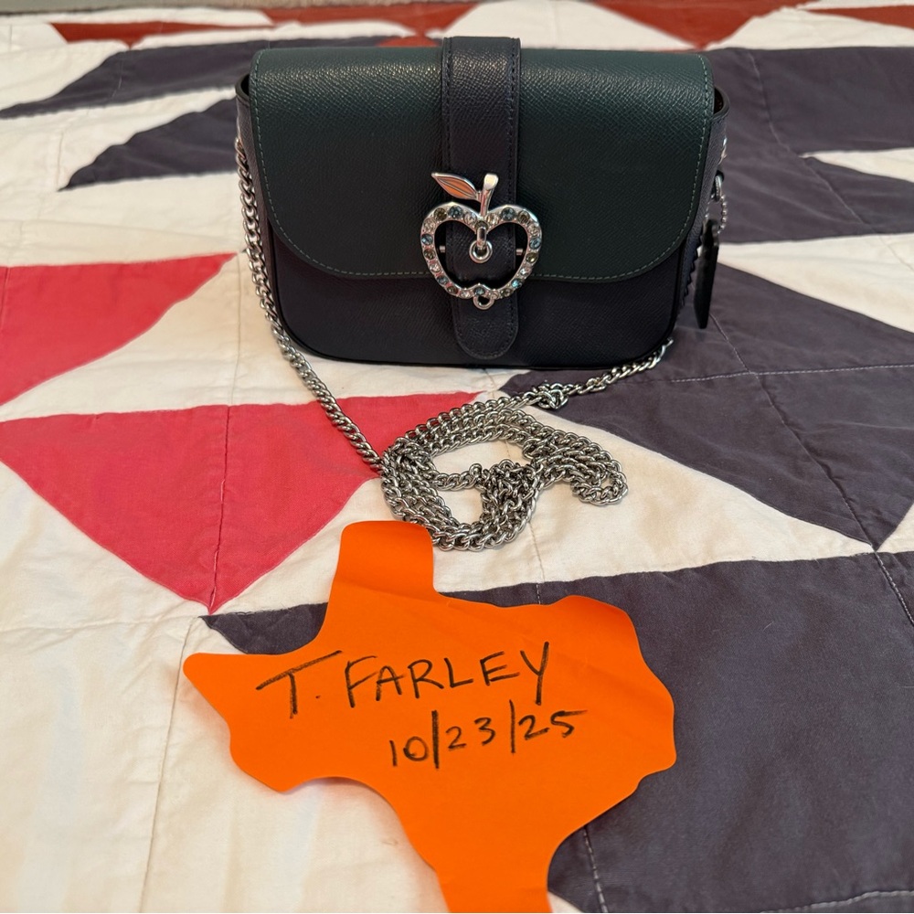 Coach Dark green and blue Crossbody Bag with Silver Chain